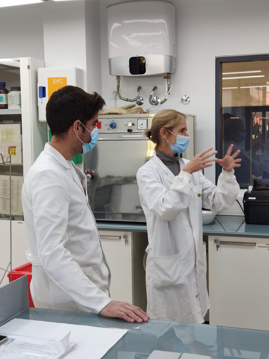 ferstolle's tweet photo. Hoy estamos con los alumnos del @CNSRecuerdo en @FarmaciaCEU aprendiendo de grupos funcionales y de su reactividad https://t.co/gHBGGewmrv