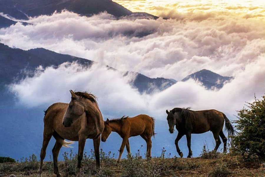 IraninMi's tweet photo. #Filband #Mazandaran #Iran #Tourism https://t.co/clOpSu15eQ