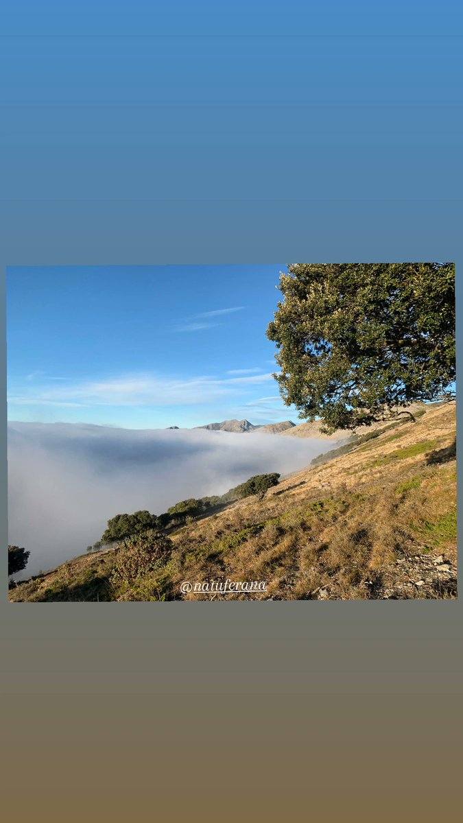 NatuFerana's tweet photo. Si te da paz, ya te está dando todo 

#natuferana #natural #nature #naturephotography #naturaleza_spain #naturaleza #fotosbonitas #fotografía #fotos #fotosnaturaleza #montañapalentina #montaña #peñaredonda #castrejondelapeña #estaes_palencia #total_palencia #palencia https://t.co/3fN2fDMrSU