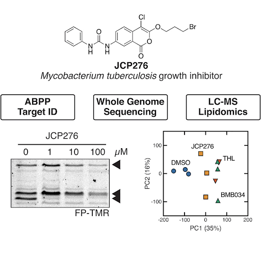 Identification of covalent inhibitors that disrupt M. tuberculosis growth by targeting multiple serine hydrolases involved in lipid metabolism 

#openscience #drugdiscovery #covalentinhibitors