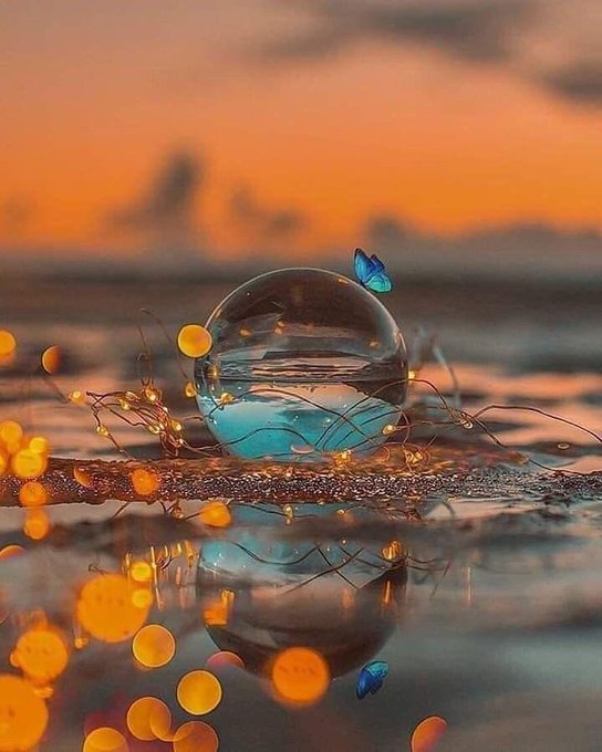 مساكم خير وعافية🌹🕊️