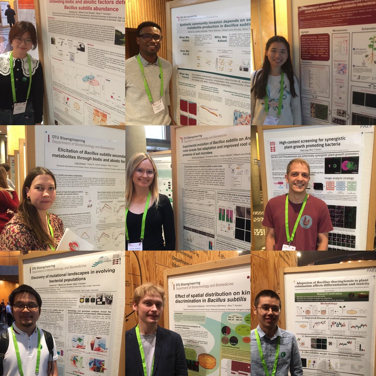 Akos T. Kovacs tweet media