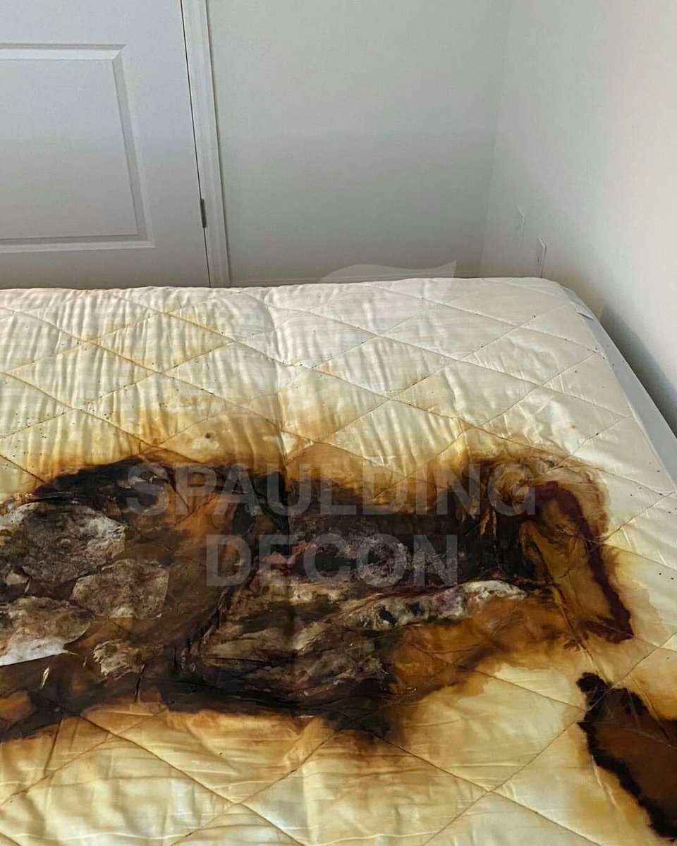SpauldingDecon's tweet photo. These photos are chilling. A resident died of natural causes in their apartment on the bed. The body was left for 3-4 weeks. When's the last time you checked up on your loved ones? We urge you to make a call today. 
​
​#biohazardous #biohazardcleanup #spauldingdecon https://t.co/zm8PiuqVHB