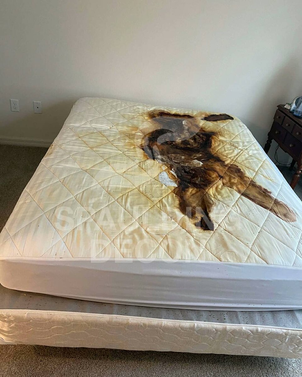 SpauldingDecon's tweet photo. These photos are chilling. A resident died of natural causes in their apartment on the bed. The body was left for 3-4 weeks. When's the last time you checked up on your loved ones? We urge you to make a call today. 
​
​#biohazardous #biohazardcleanup #spauldingdecon https://t.co/zm8PiuqVHB