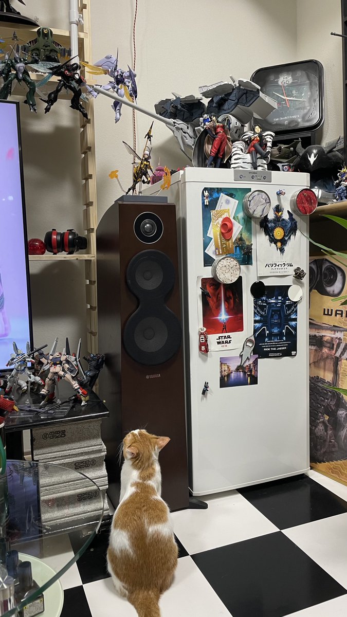 azudra's tweet photo. This is how my cat threatens me when I feel that it doesn't play much. This is a notice that "I will jump on the shelf of the figure you cherish from now on!"
Cat's request!
#茶白猫琥珀
#Catsrequest
#cat https://t.co/tCp8wKgn5i