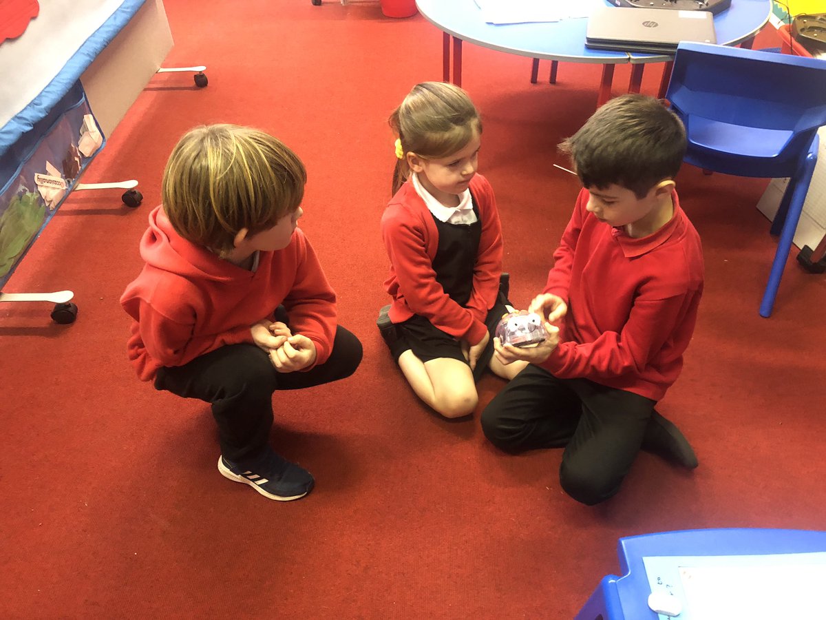 OrmistonPrimary's tweet photo. P4 are LOVING teaching P1C all about programming and directions using the bluebots. We planned lots of fun activities for them! https://t.co/tS54bdVzCc