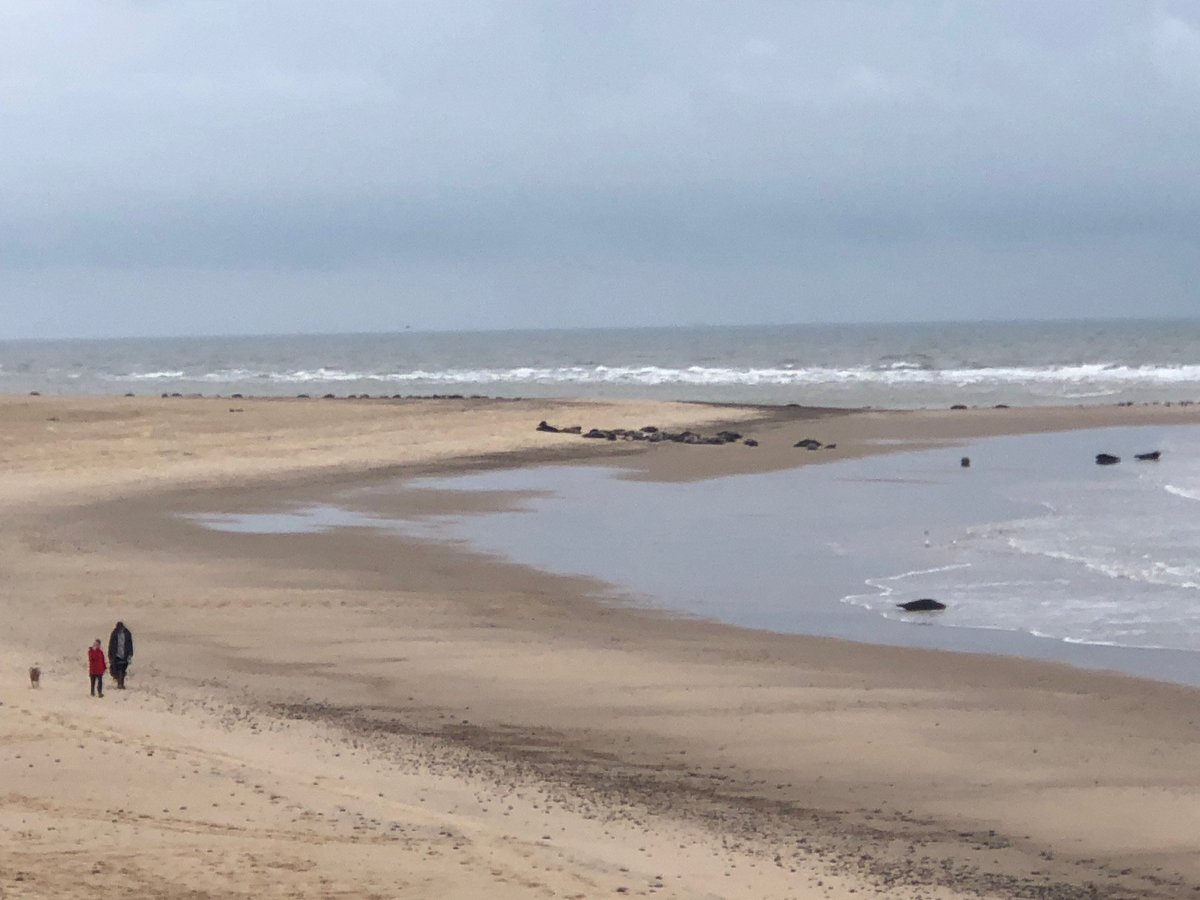 Winterton Beach Car Park tweet media