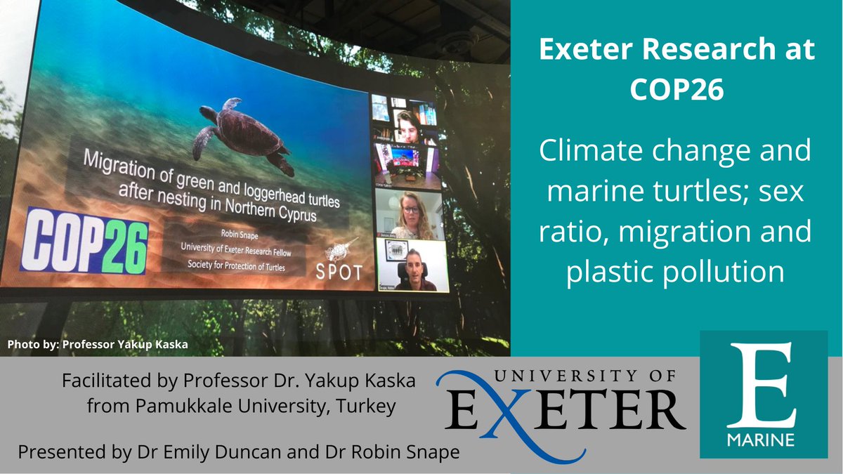 Congratulations to Dr @EmilyDuncan34 and Dr Robin Snape of ExeterMarine and Exeter CEC, who presented their research in marine turtles and plastic pollution at @COP26.🐢🌊 Emily's work focused on turtles within Eastern Mediterannean and Robin's were in Cyrpus with @spot_turtles.