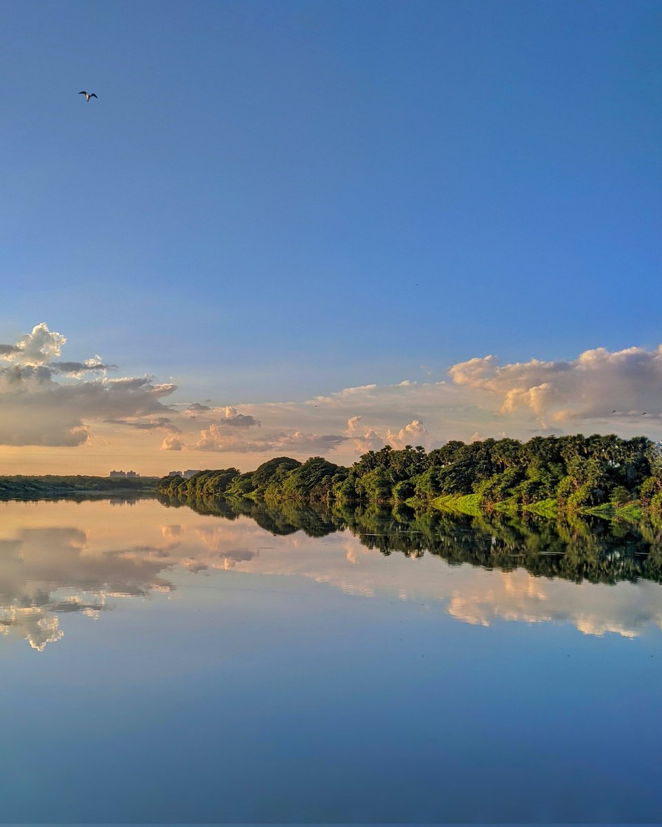 gl_clicks's tweet photo. “If you want to reach your full potential in life, it’s important to think like a bird. Don’t hold yourself back with mental limitations... ”
#waterreflection #teampixel

By looking flying birds! You  must uplift your spirit and fill your mind with thoughts of flying and freedom. https://t.co/RiWJ6MB0Rr