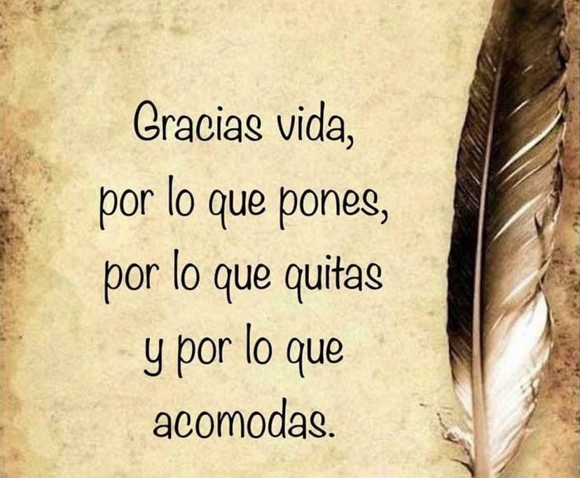 Gab1guz33's tweet photo. #gratitud https://t.co/wnKh3PA8Ce