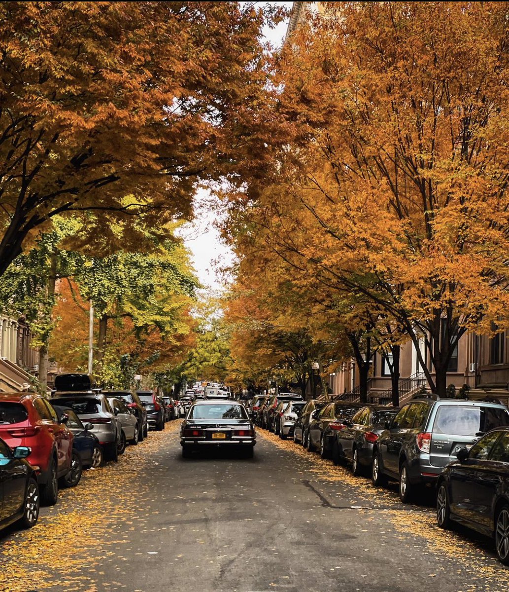 TuhinChakr's tweet photo. So hard to not love this city #fallinnewyork https://t.co/LSb7c21TRZ