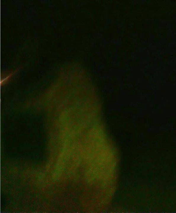 Ingotta see it to believe it. ? 
Sometimes that's not even enough.