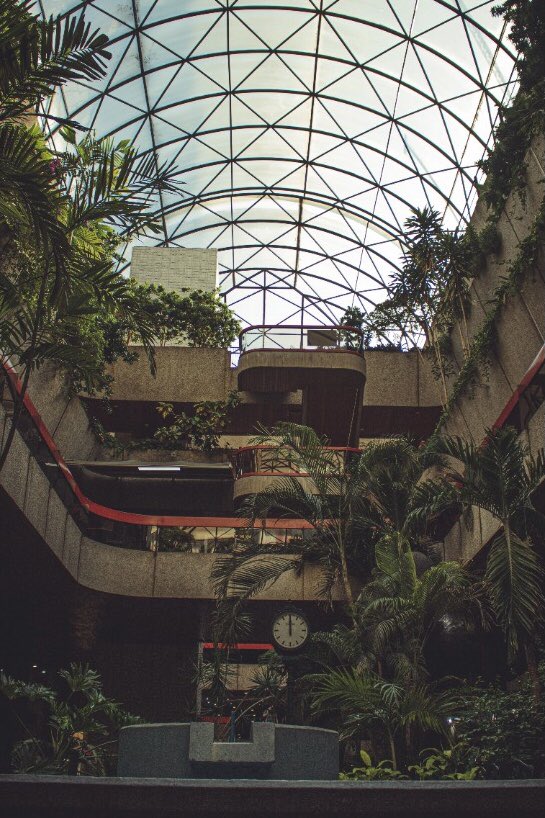 ricksheavy's tweet image. Caracas beauty is underrated.