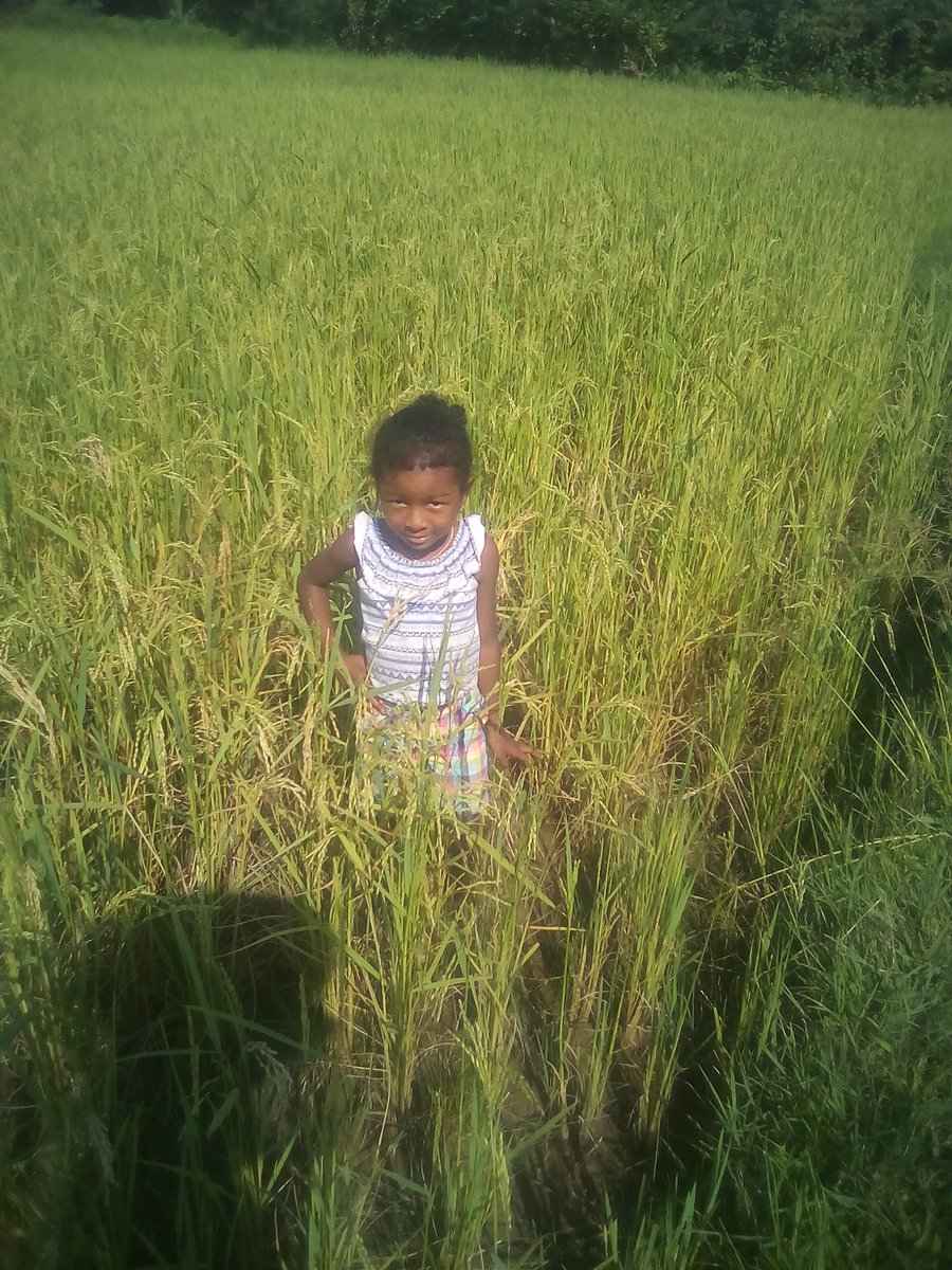 Ma fille bien-aimée