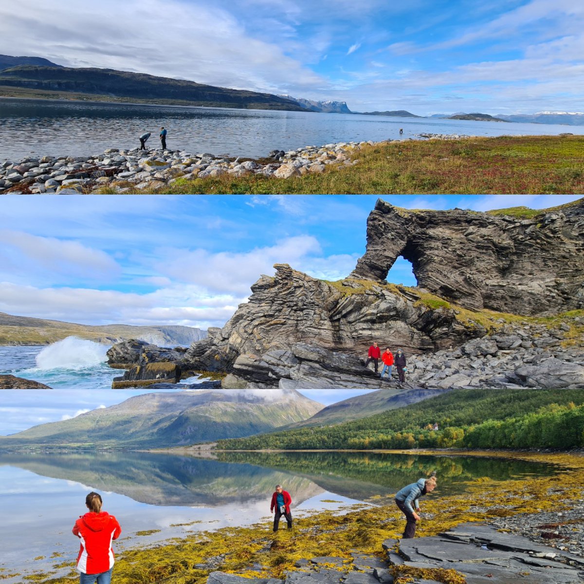 CiimarUp's tweet photo. The #Adaptchange project was on an expedition to Norway between the 2-10 Sep including the researchers Rui Faria and Cátia Monteiro from @CiimarUp!
Adaptchange is financed by the bilateral relations fund of #EEAgrants @EEAGrantsPT 
#CIIMARresearch #CIIMARresearchers #expedition https://t.co/BzvQxp1ffG