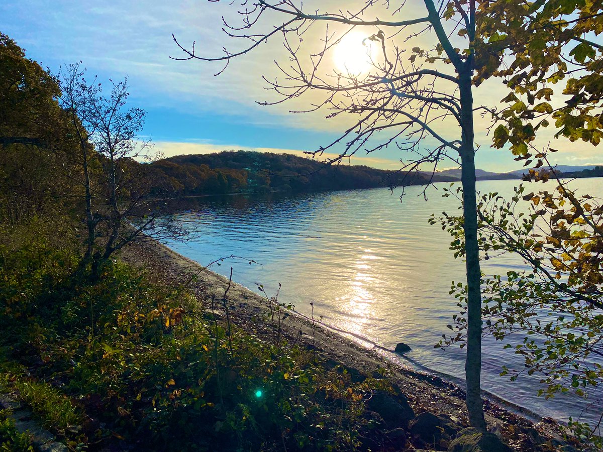 Amy King tweet media