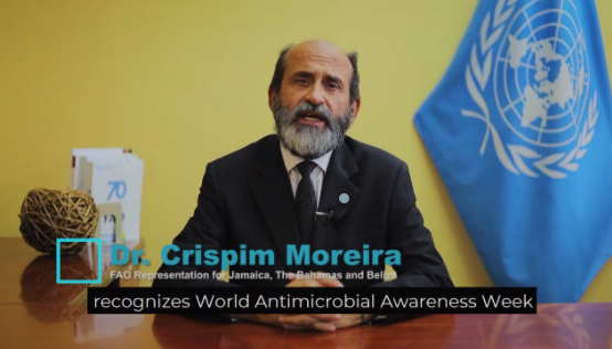 .<a href="/Crispim_Moreira/">Crispim Moreira</a> <a href="/FAOCaribbean/">FAO in the Caribbean</a> #Jamaica launch of World Antimicrobial Awareness Week: In agriculture, the misuse of antimicrobials increases the costs for medical treatment, limits food safety &amp; livelihood security, increases losses in production/productivity &amp; affects incomes.
