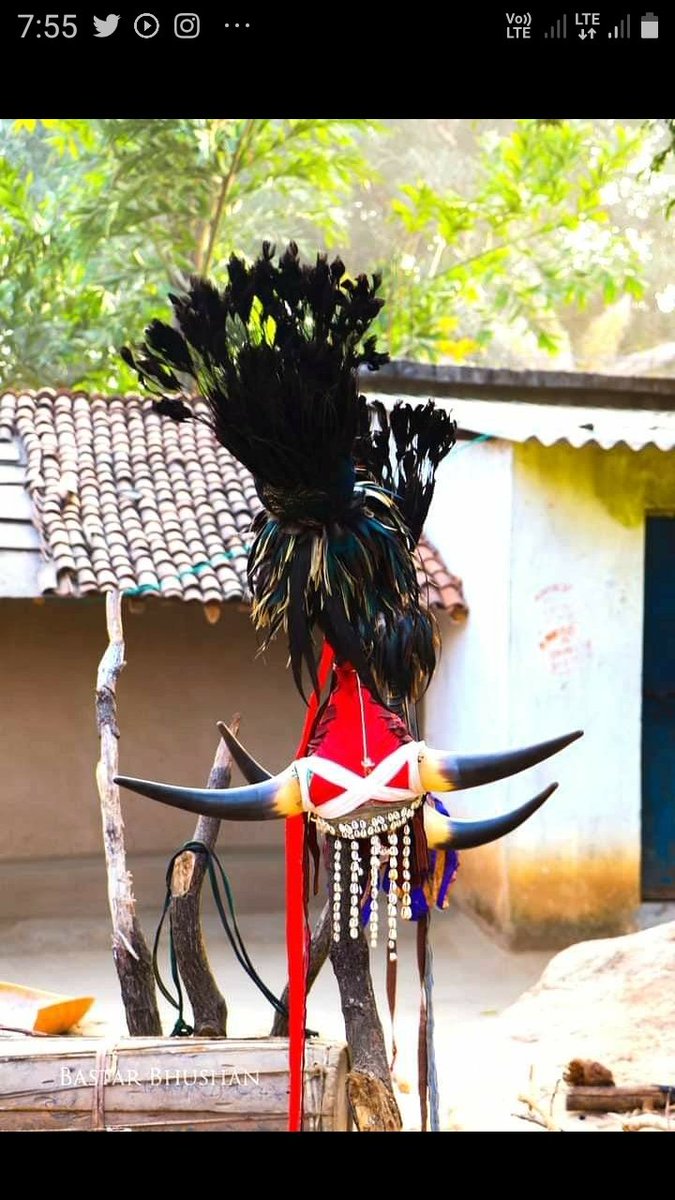 Tilak_NetamGond's tweet photo. #DrMotiRabenKangali 
#INDIGENUS
#KoitoorIndian
#SebaJohar🙏🏾
https://t.co/vDVZUN6tph https://t.co/sU8g8PJC3o