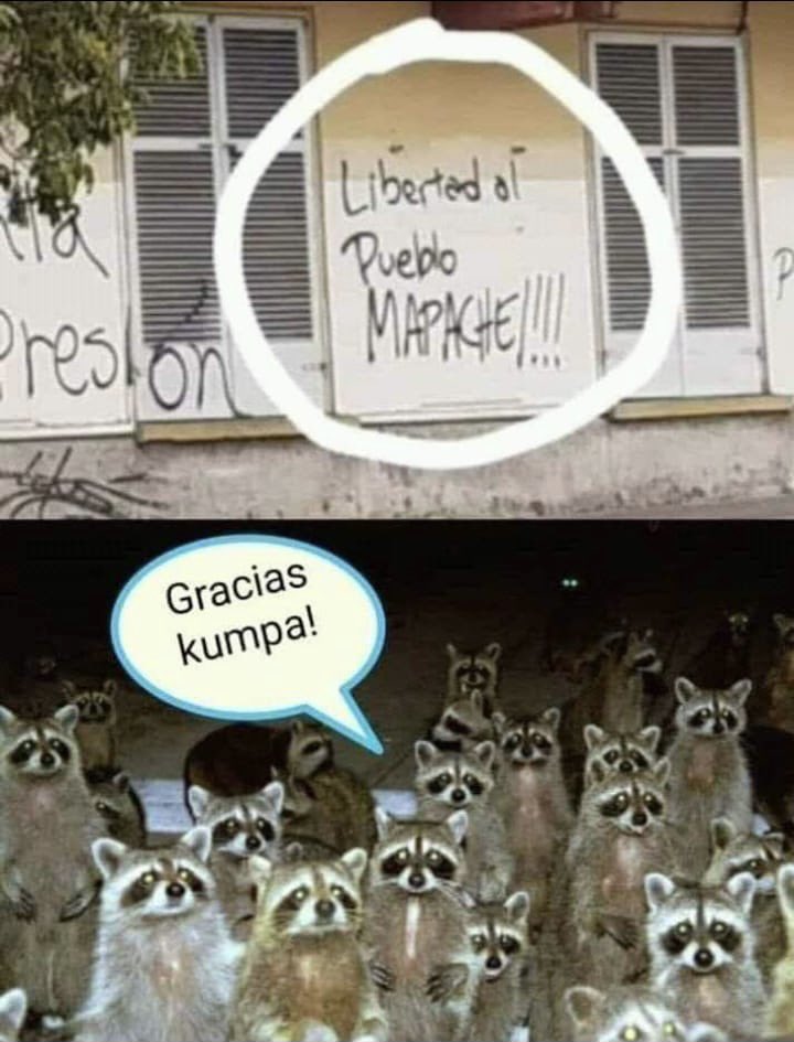 Lloro.