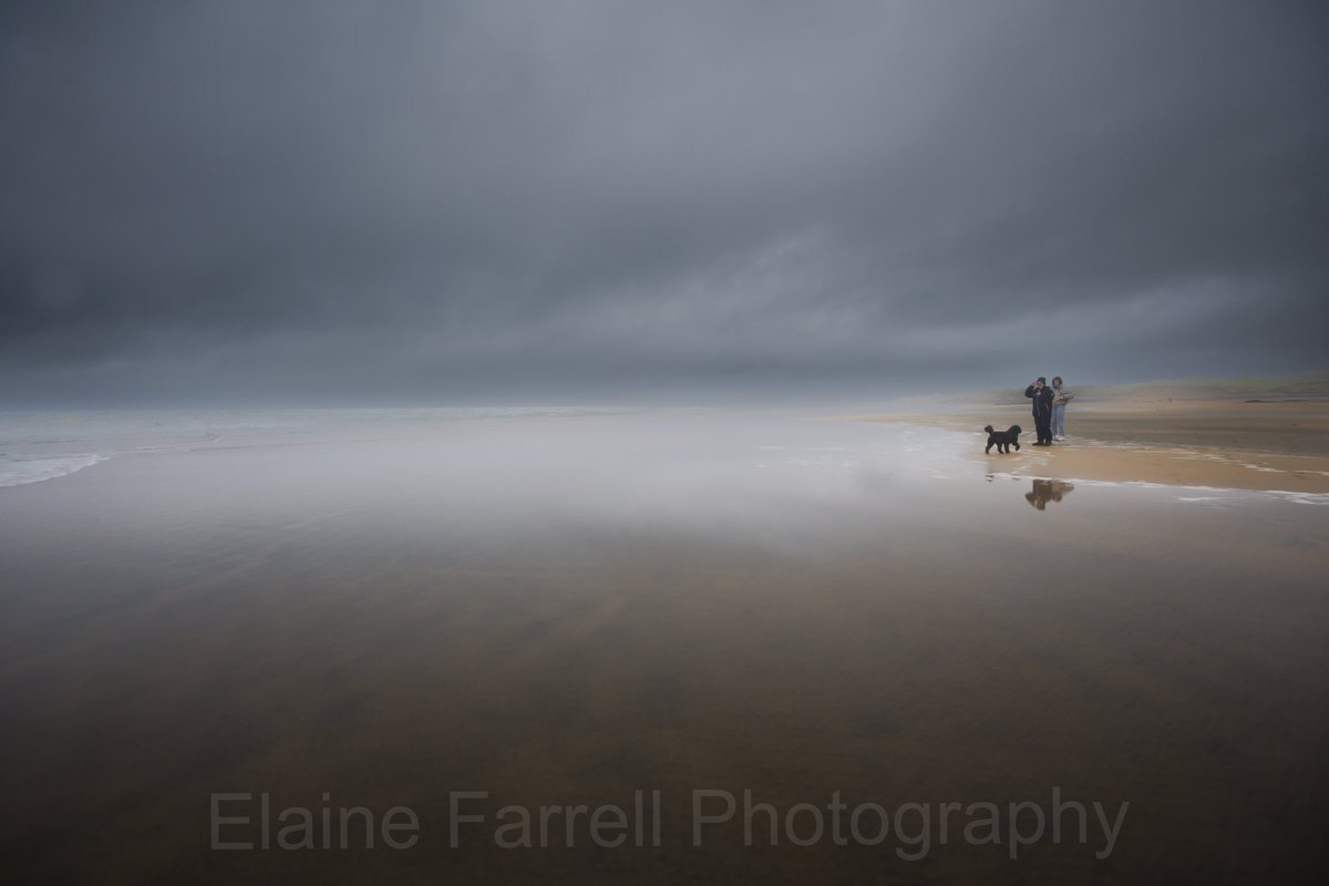 Elaine Farrell Photography tweet media