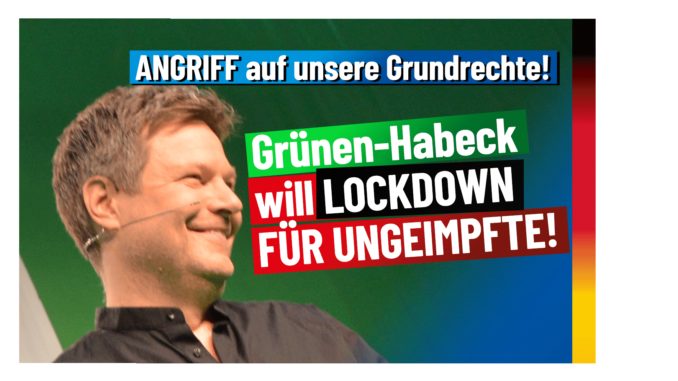 AfD tweet media