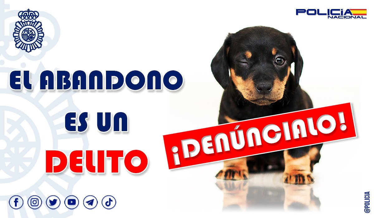 policia's tweet photo. Sí, el abandono #animal es DELITO

No lo olvides porque nosotros lo tenemos muy presente

WE 💙 #ANIMALS https://t.co/SiQJ7LIoHJ