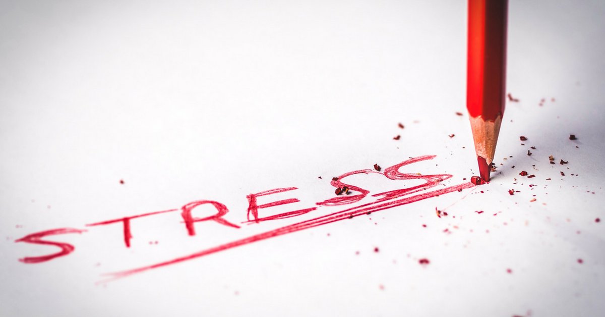 RuAnderson01's tweet photo. What You Should Know About Stress and Its Effects On The Body  🤷‍♀🙇‍♂ #stress101 #healthylifestyle ➡ https://t.co/Xi2VYmuIQb https://t.co/iyZX8Bx3CK