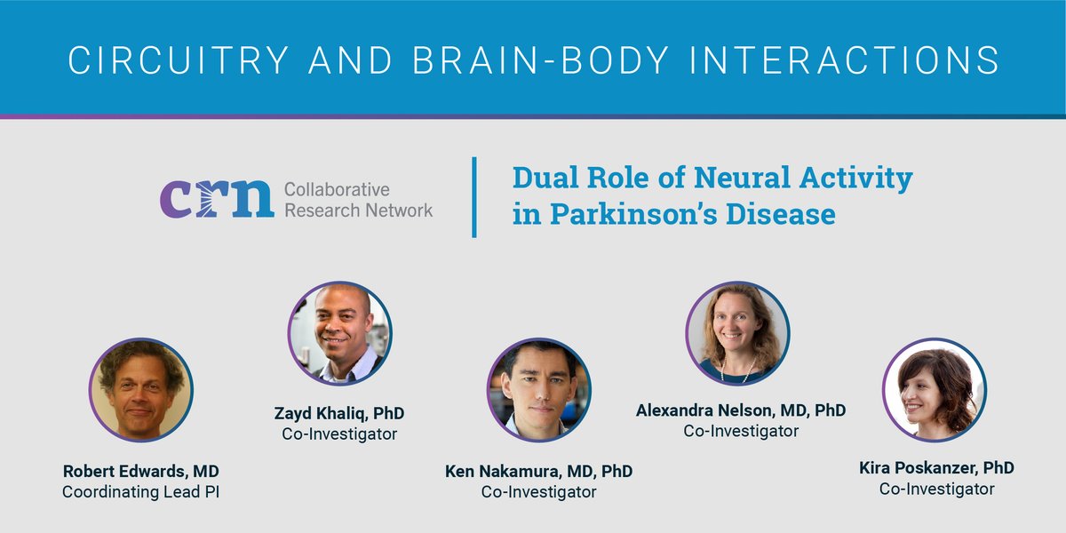 ASAP_Research's tweet photo. Team Edwards will assess how changes in brain activity influence the neurodegeneration that causes #PD and investigate the impact of synuclein. #ASAPGrantees @KhaliqLab @KiraPoskanzer
Learn more: https://t.co/kU6JvhTAL1 https://t.co/y2HoBdJrQv