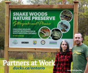 DUContario's tweet photo. We work w/ landowners &amp; trusted #partners to restore wetlands on Ontario's landscape. Partners like Scott Gillingwater &amp; Teresa Piraino, hosts for wildlife in Oxford County. 
https://t.co/25dwJFsSSf
Images by S Gillingwater
#utrca #oxfordcounty #nawca #usfws #ducksunlimited https://t.co/uJd8CJpzjU