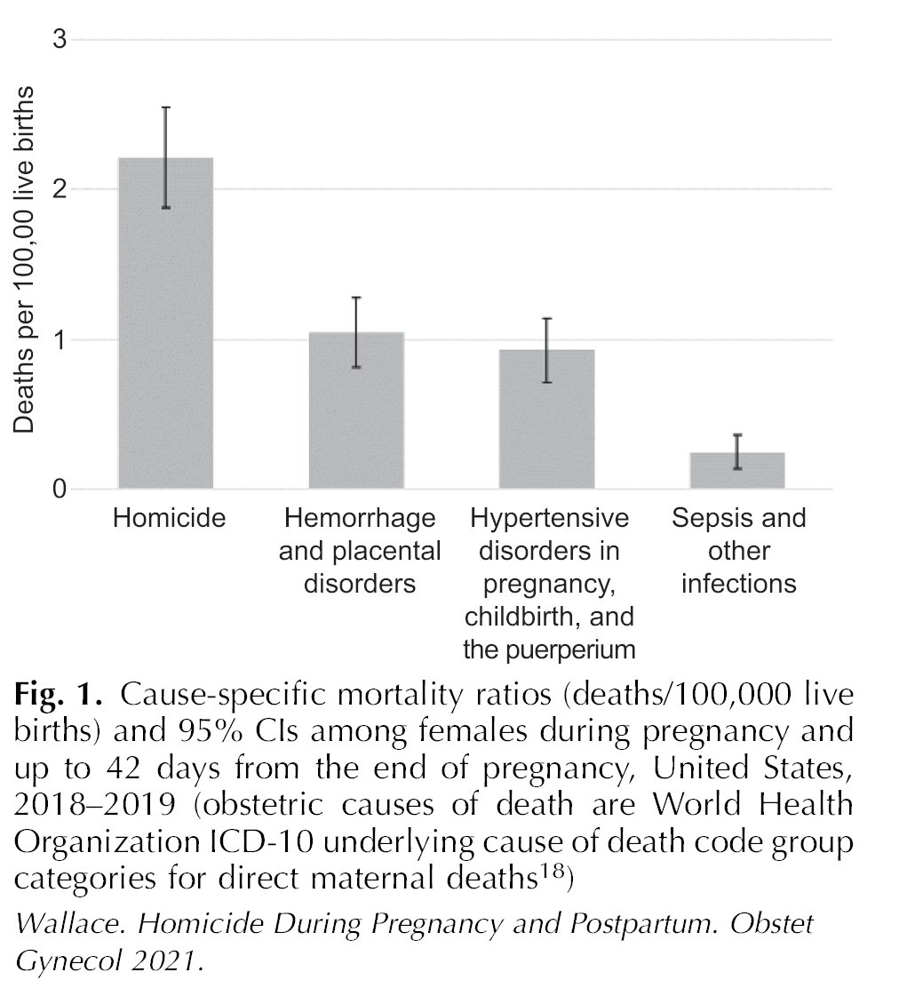 greenjrnl's tweet photo. Homicide During Pregnancy and the Postpartum Period in the United States, 2018–2019. Homicide is a leading cause of death during pregnancy and the postpartum period in the United States #obgyn #OB https://t.co/s89paCbGHs https://t.co/b2iErOF4vR