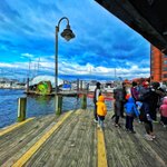 Photo by ProfessorTrashWheel (@ProfTrashWheel)