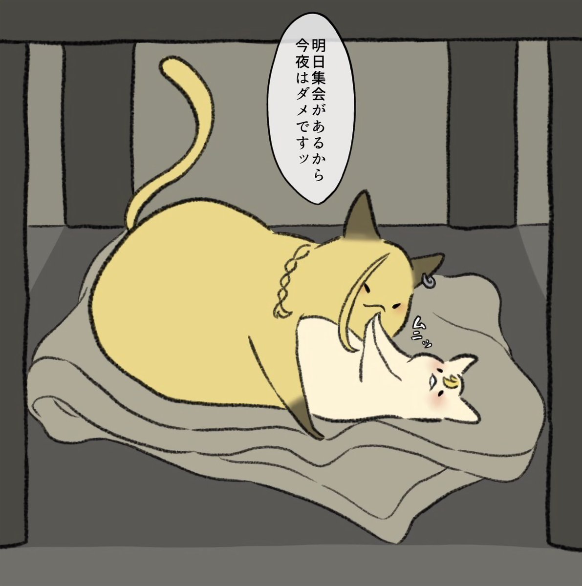 ちゃんとノーと言えるにゃんこドラ武 