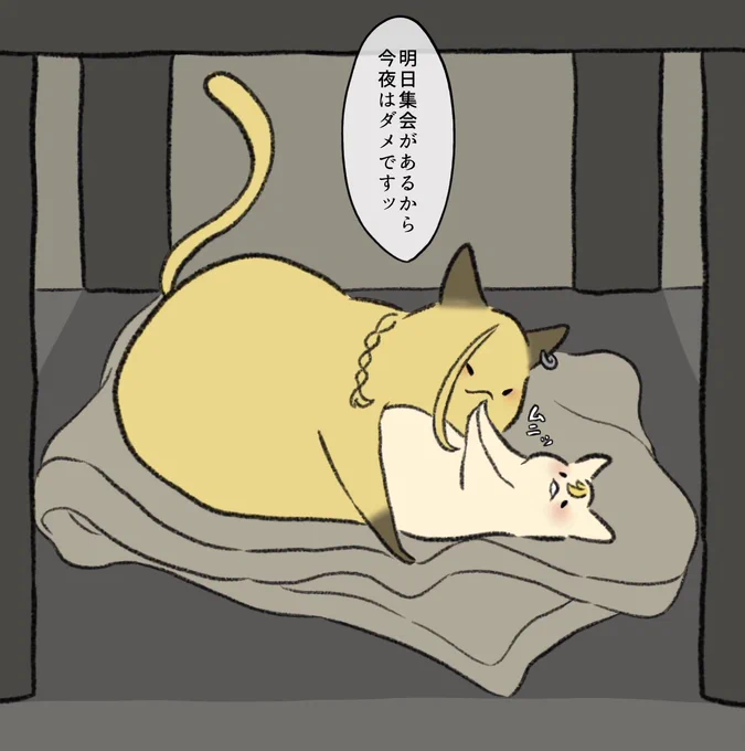 ちゃんとノーと言えるにゃんこドラ武 
