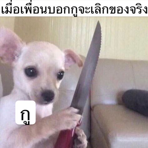 มึงเห็นอะไรในมึงกูมั้ย คิดดีๆก่อนพูดนะ 5555555555555555555555555555