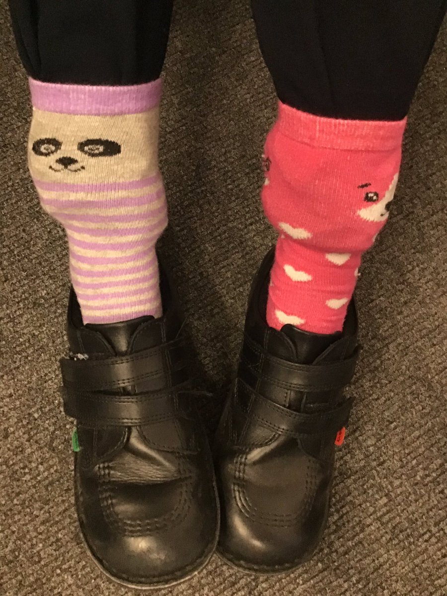 Halley Year 3 tweet media