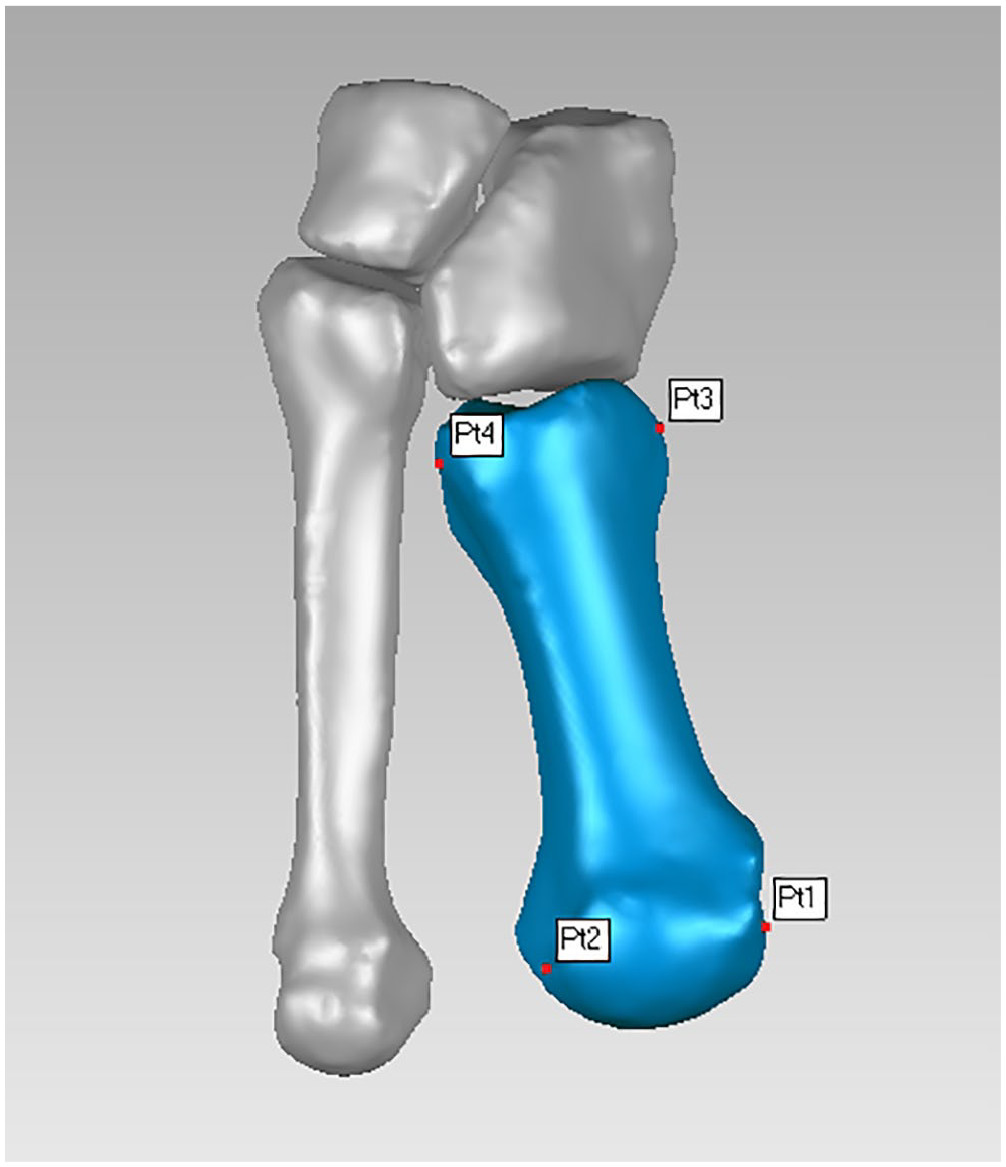 AOFAS_Journals tweet media