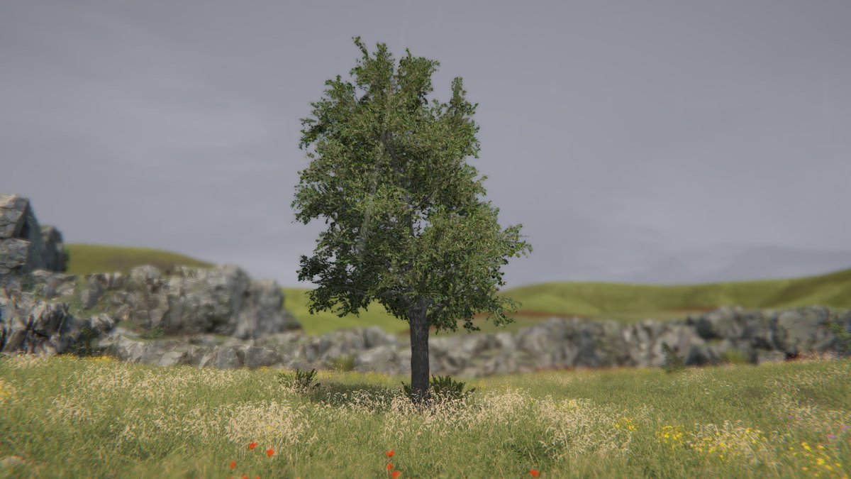 radio_vater's tweet photo. Si quieres vivir emociones fuertes disfruta del Tree Simulator 2022, recomendación de @LordChopped_ para Radio Váter.
#treesimulator https://t.co/IHjdp1xRWg