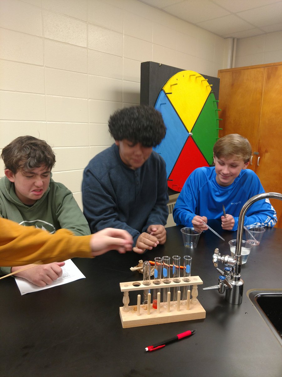 7th grade Science Lab Strawberry DNA Extraction