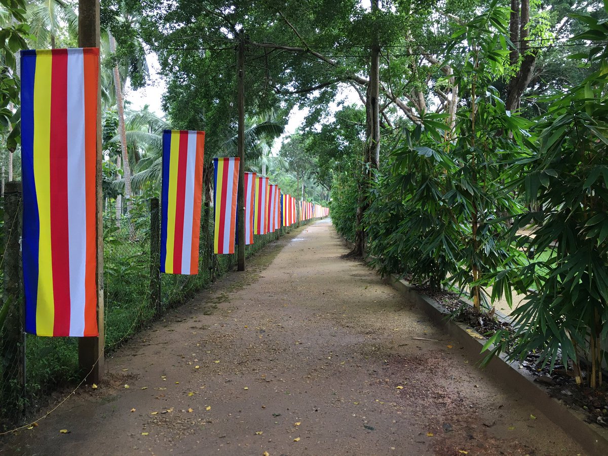 beautifully arranged the flags of buddhist sign