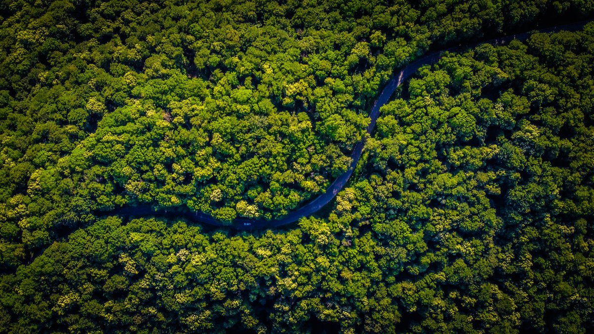 GokoTravels's tweet photo. Here at GoKo, we support the notion that responsible and environmentally mindful travelling is a crucial basis for the future of travel. Here are 5 reasons why it’s important to change our attitudes now:
https://t.co/y9gTFsyb9h https://t.co/21izw7AIkz