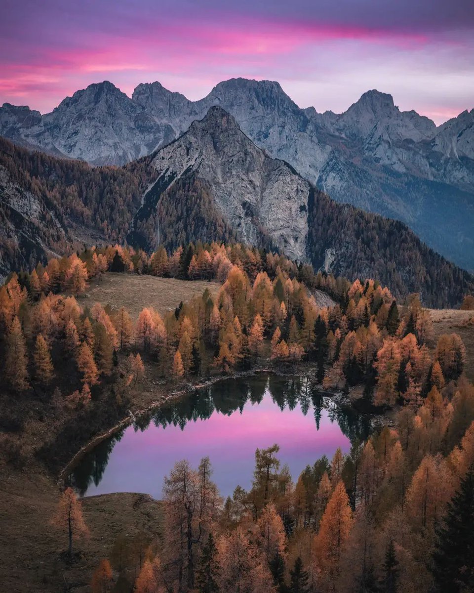 Una vera e propria chicca della #Carnia: il lago di #Bordaglia che sorge all’interno dell’Oasi di Bordaglia, la più vasta oasi di rifugio faunistico regionale.😍

📷sandro_olivo via IG

#FVGlive