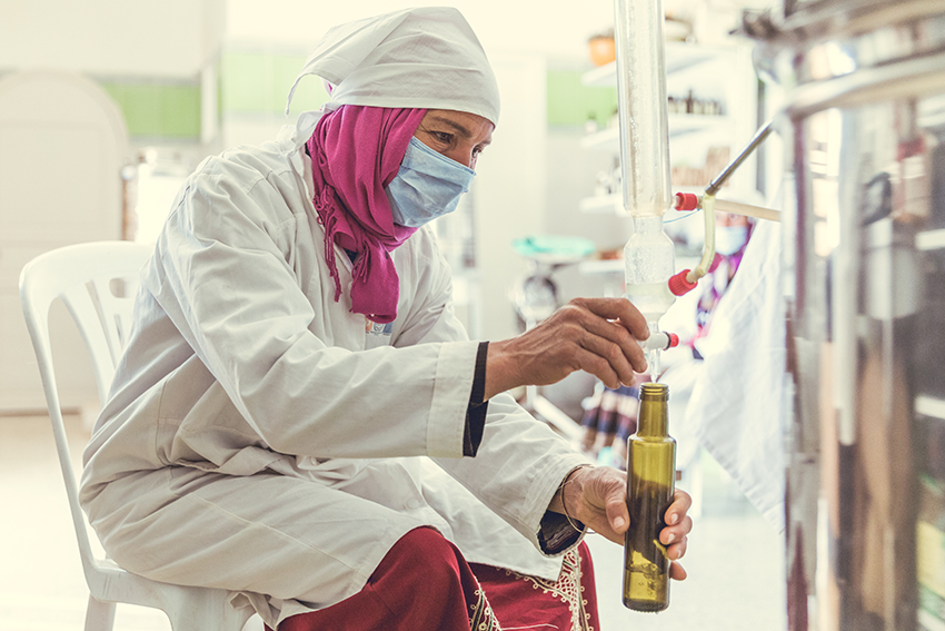 Join us - Addressing Environment and Climate Change, Empowering Youth, &amp; Rebuilding Economies—The Role of Green Jobs. Organized with #YEO2030, <a href="/MakingCentsIntl/">Making Cents Int'l</a>. Nov 30, 830-10am EST #YEO2030 <a href="/fhi360/">FHI 360</a>, <a href="/ilo/">International Labour Organization</a>   Register here - ow.ly/yN1E50GNQet <a href="/tetels/">Michael Tetelman</a>