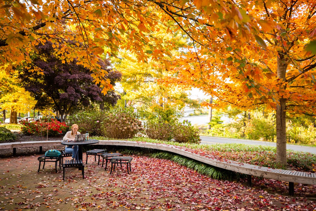 UTKnoxville's tweet photo. Fall vibes only. 🍂 https://t.co/sSSYTIJoNp