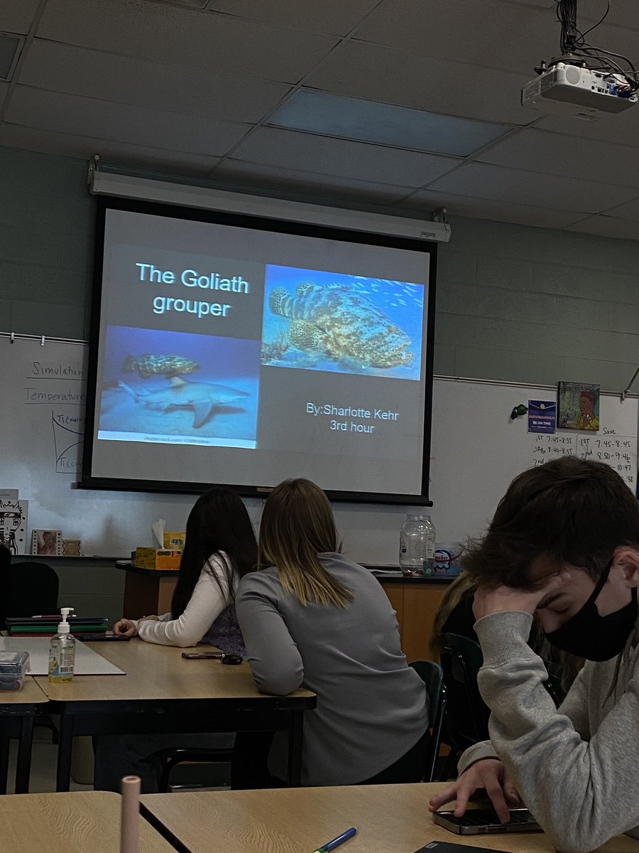 JagsSITM's tweet photo. 🚩 TODAYS ENDANGERED ANIMAL PRESENTATIONS 🚩

🐢 Giant tortoise 
🐧 Galápagos penguin
🐻‍❄️ Polar bear
🐟 Goliath grouper 

Did you know these animals were endangered?? 

#scienceinthemedia https://t.co/OTochIigb5