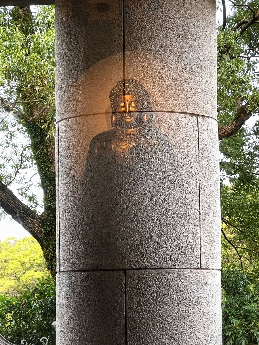 Purity of Mind♥️
#liveshot #buddha #meditate #Relaxing #Calm #Peace #tranquility