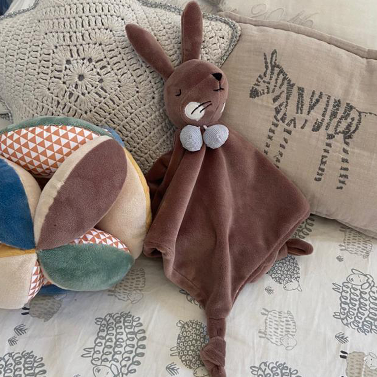 Mis Petates tweet media