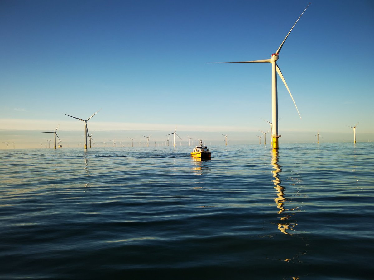 Adam ⚓ tweet media