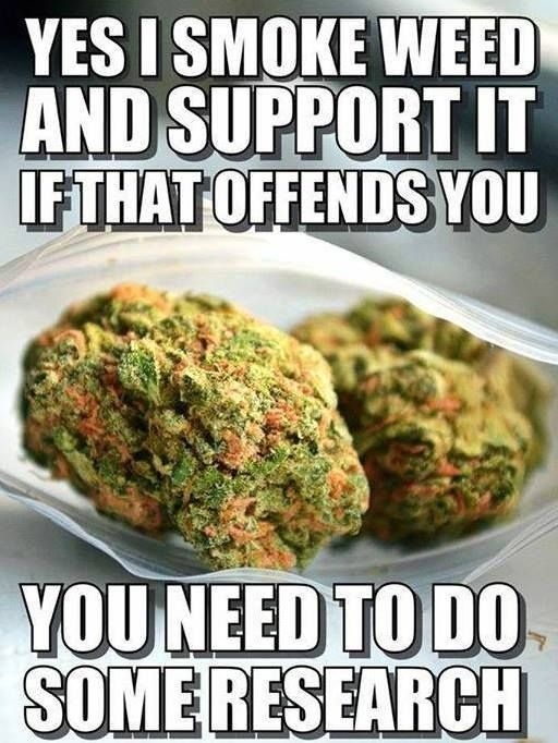 cannaworldsite's tweet photo. https://t.co/zTYKvOGY2H
