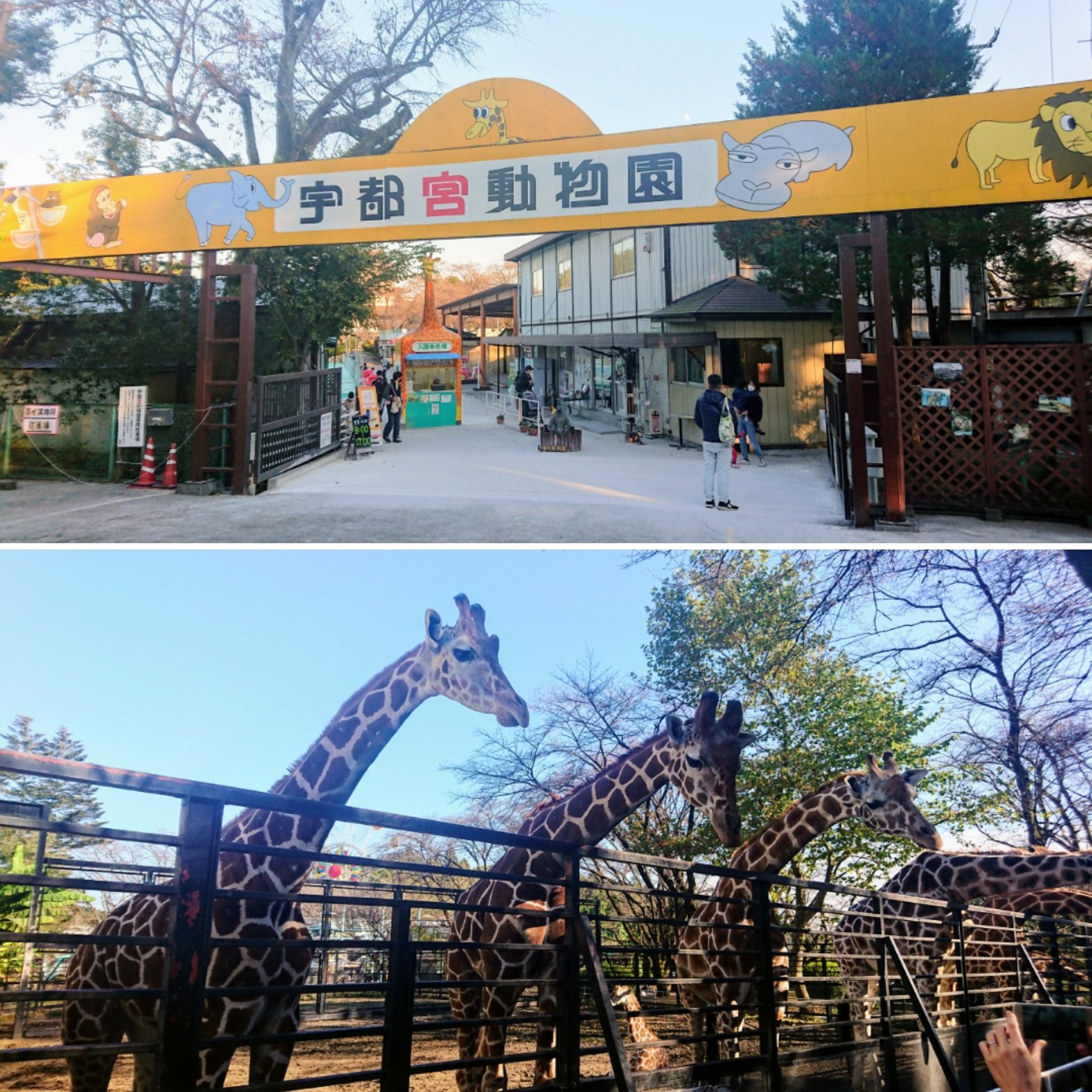 動物園 栃木 大洗水族館が20周年 福島・栃木・群馬の動物園や水族館と連携企画も（みんなの経済新聞ネットワーク）