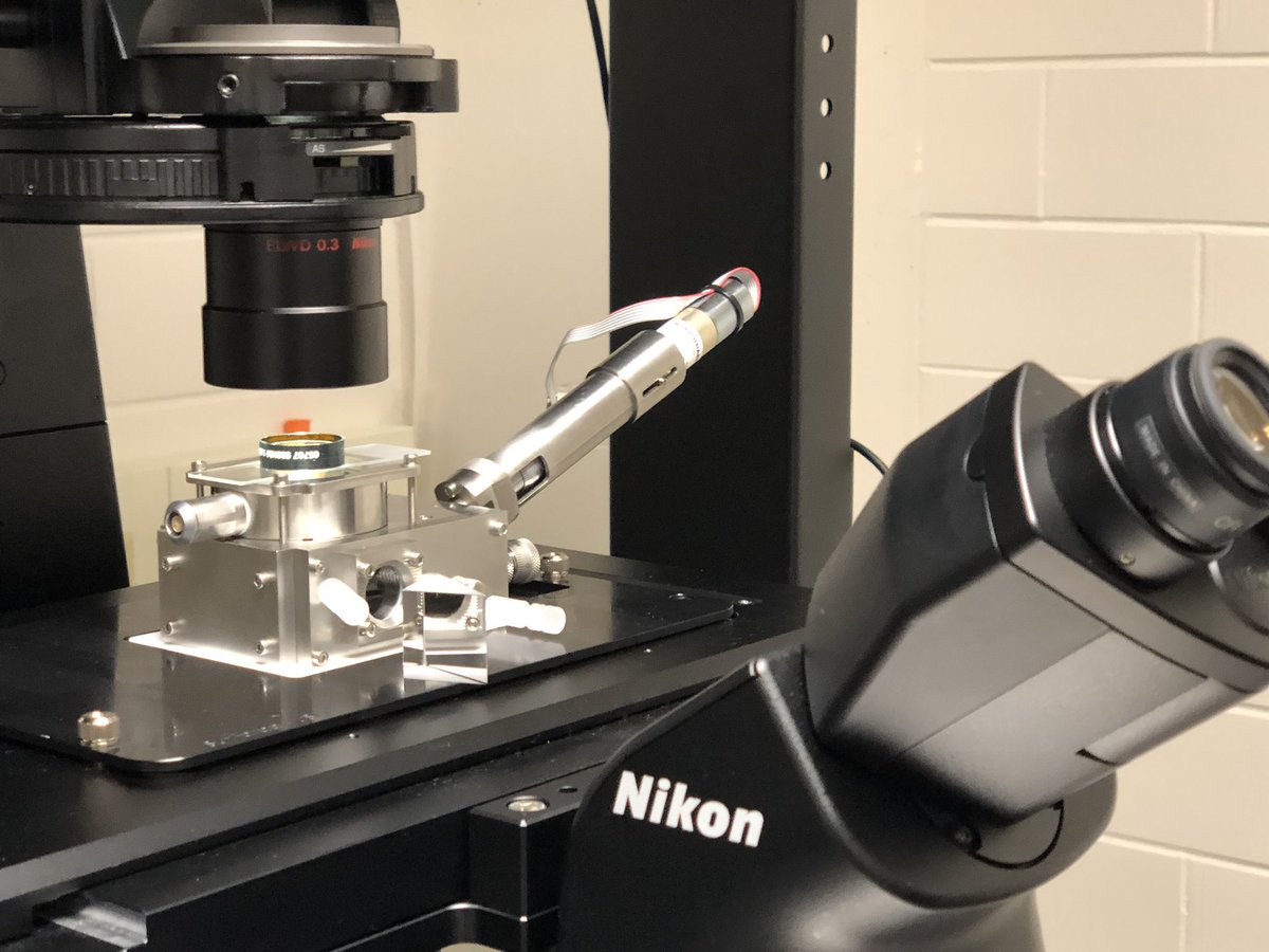 GebbieLab's tweet photo. At long last, we have exciting news to announce: our surface forces apparatus is now installed! Check out these cool interference fringes! This unique setup enables our group to measure nanoscale forces between surfaces. Stay tuned for exciting work! https://t.co/UMEDA7SwHj